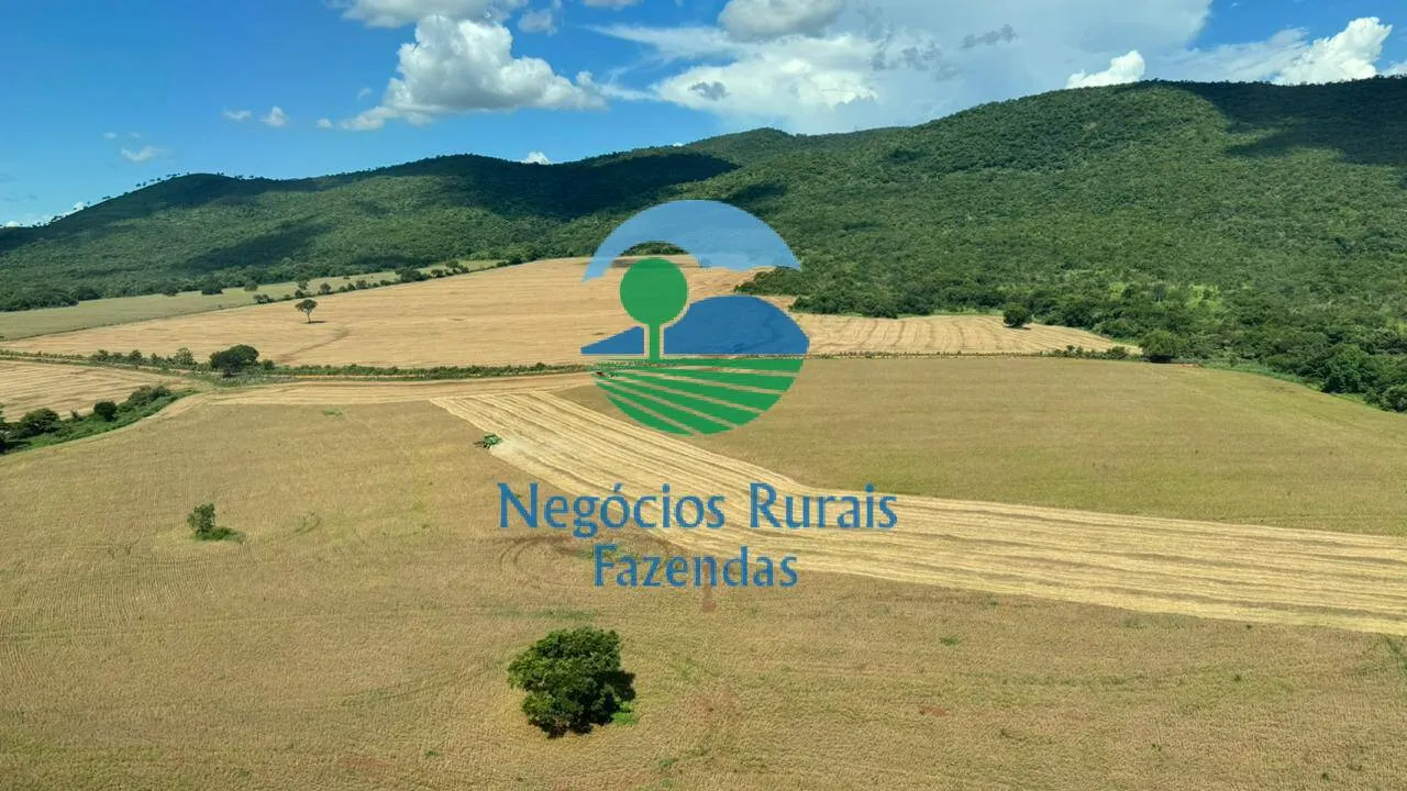 Farm for sale of 4,166 acres in Barro Alto, GO, Brazil