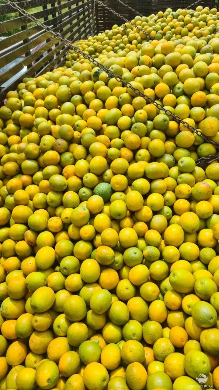 Fazenda à venda de 450 ha em Campina Verde, MG, Brasil