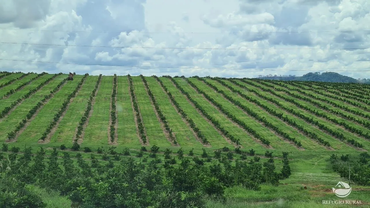 Fazenda à venda de 450 ha em Campina Verde, MG, Brasil