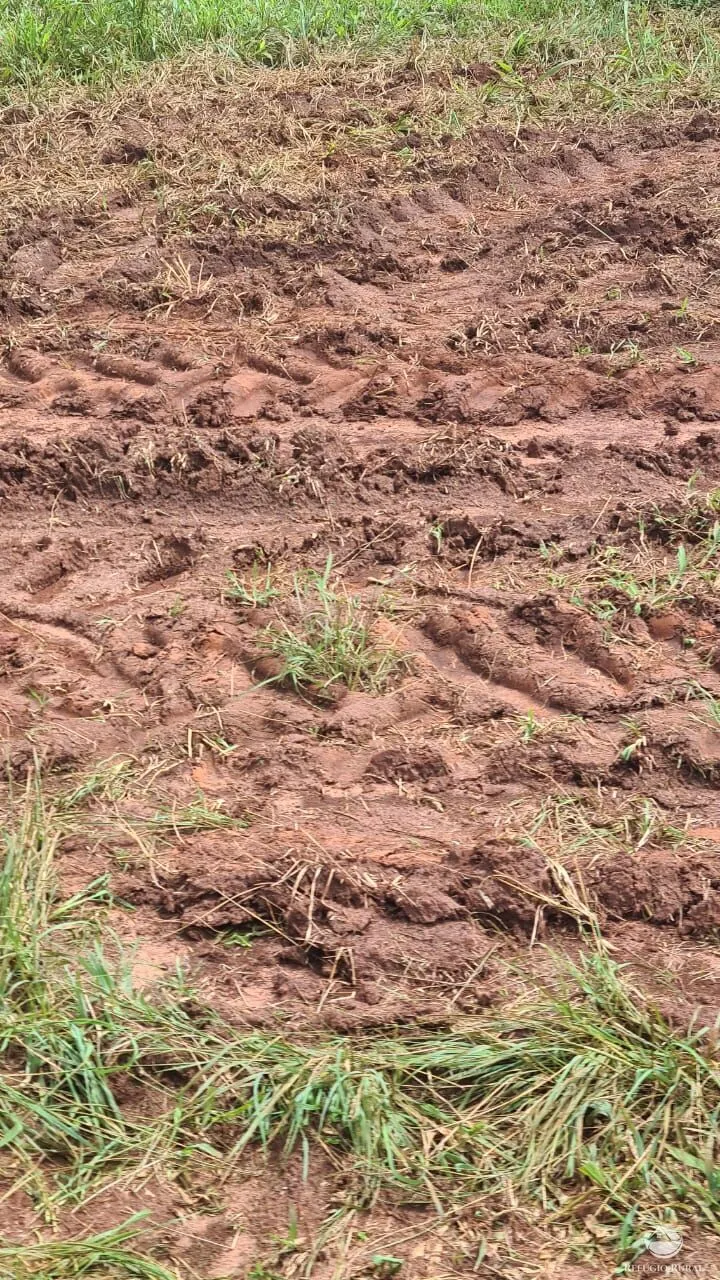 Fazenda à venda de 450 ha em Campina Verde, MG, Brasil
