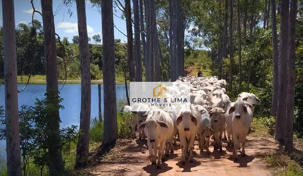 Farm for sale of 2,802 acres in Campo Grande, MS, Brazil