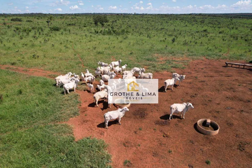 Farm for sale of 2,802 acres in Campo Grande, MS, Brazil