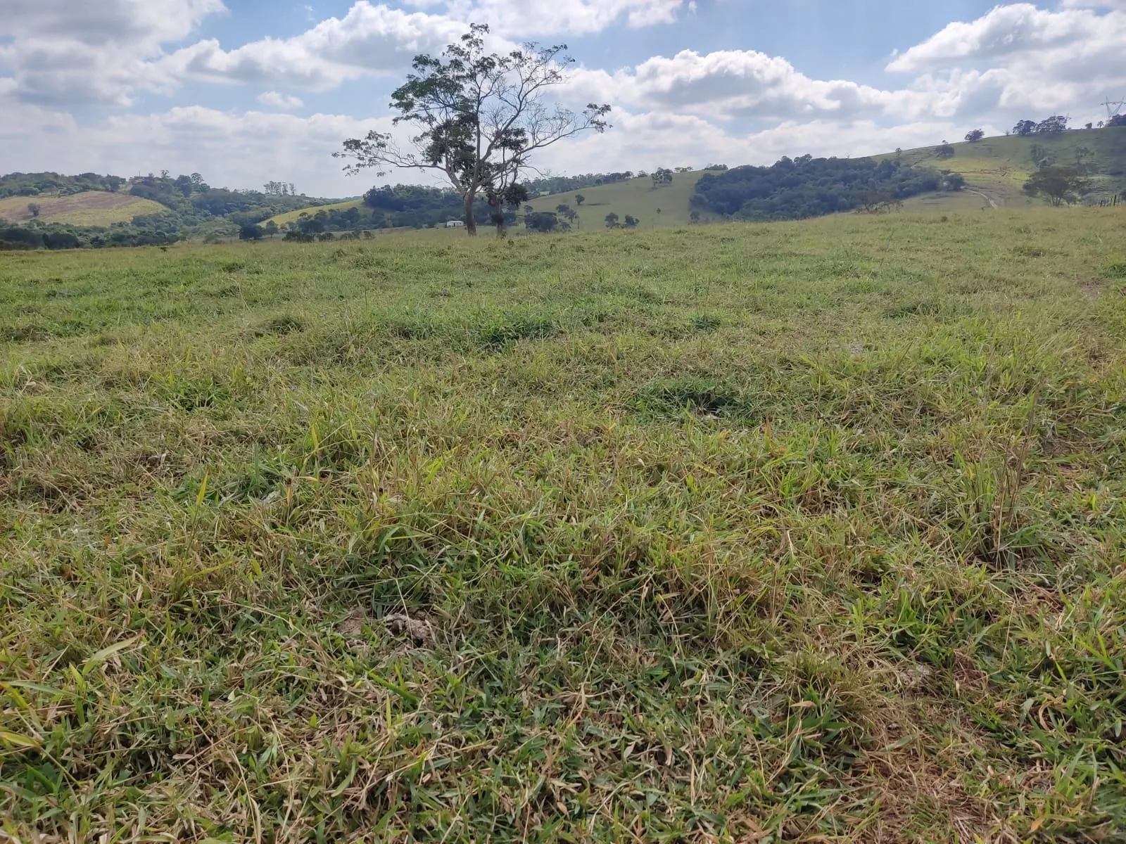 Farm for sale of 251 acres in Angatuba, SP, Brazil