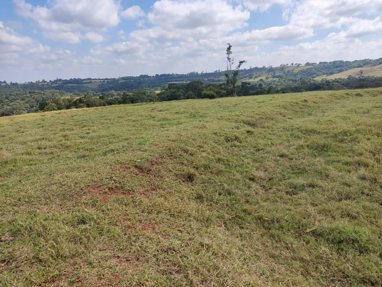 Farm for sale of 251 acres in Angatuba, SP, Brazil