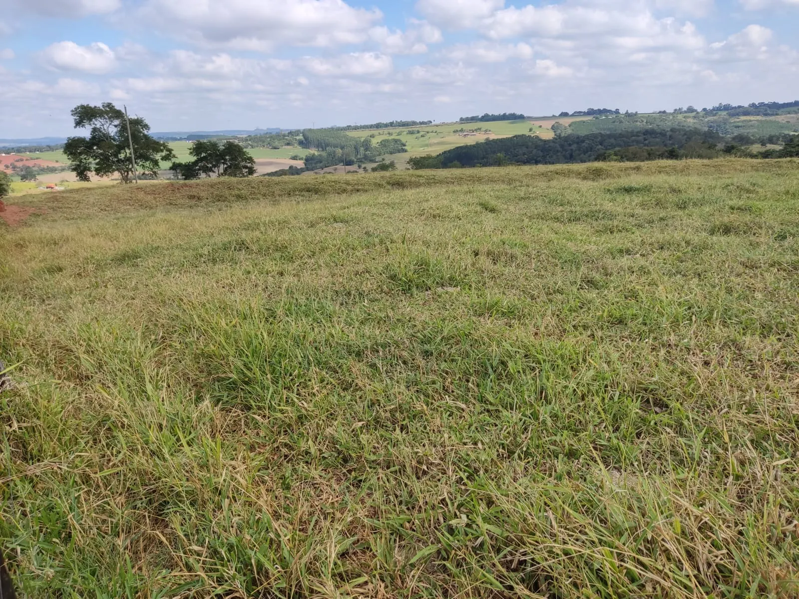 Farm for sale of 251 acres in Angatuba, SP, Brazil
