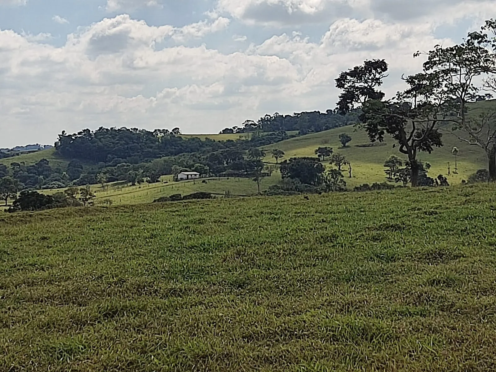 Farm for sale of 251 acres in Angatuba, SP, Brazil