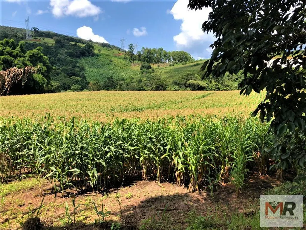 Farm for sale of 331 acres in Espírito Santo do Dourado, MG, Brazil