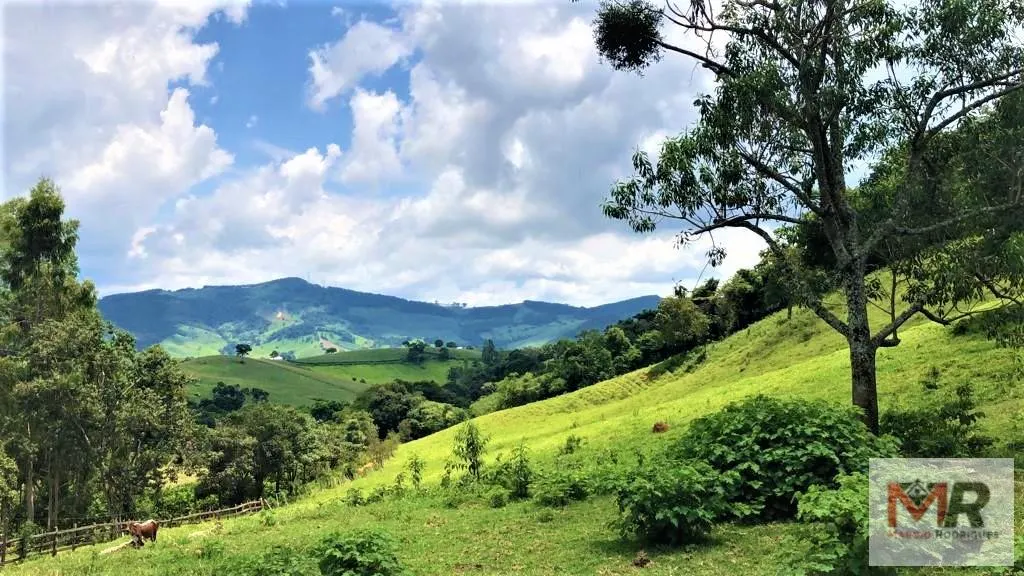 Farm for sale of 331 acres in Espírito Santo do Dourado, MG, Brazil