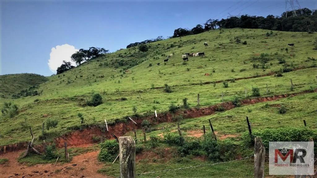 Farm for sale of 331 acres in Espírito Santo do Dourado, MG, Brazil