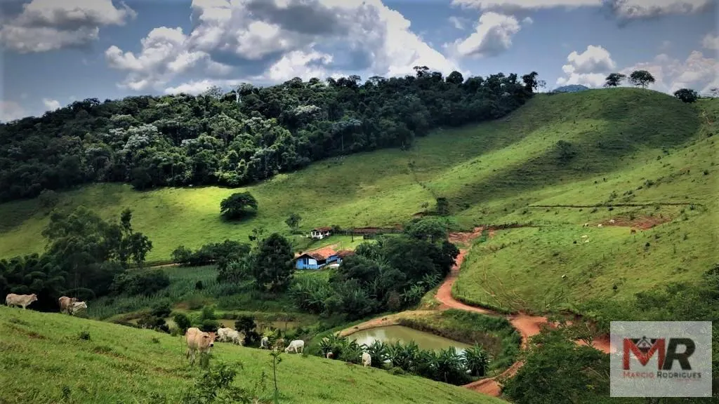 Farm for sale of 331 acres in Espírito Santo do Dourado, MG, Brazil