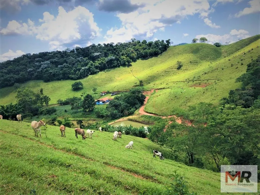 Farm for sale of 331 acres in Espírito Santo do Dourado, MG, Brazil