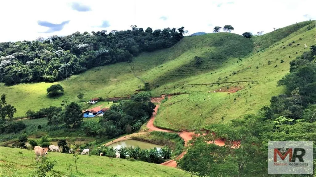 Farm for sale of 331 acres in Espírito Santo do Dourado, MG, Brazil