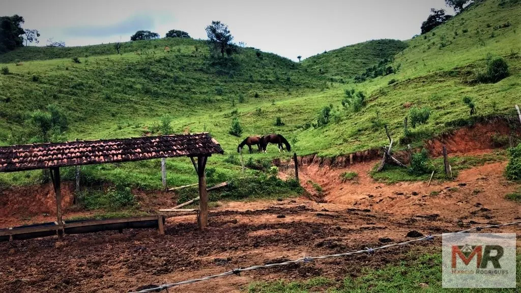 Farm for sale of 331 acres in Espírito Santo do Dourado, MG, Brazil