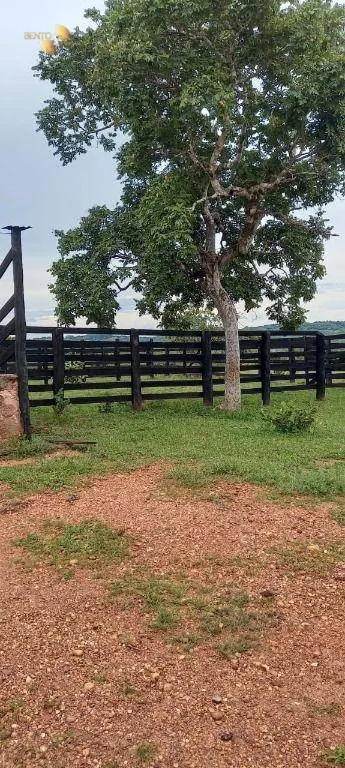 Fazenda à venda de 339 ha em Diamantino, MT, Brasil