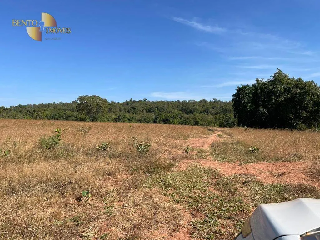 Fazenda à venda de 339 ha em Diamantino, MT, Brasil