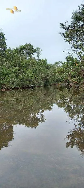 Fazenda à venda de 339 ha em Diamantino, MT, Brasil