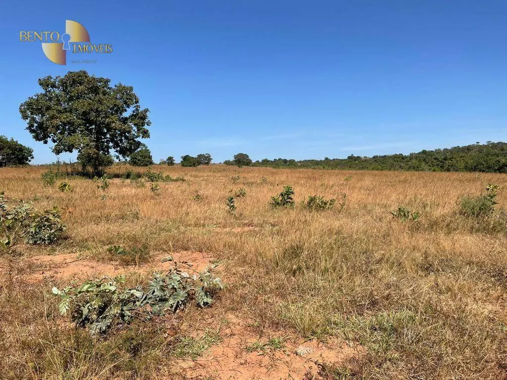Fazenda à venda de 339 ha em Diamantino, MT, Brasil