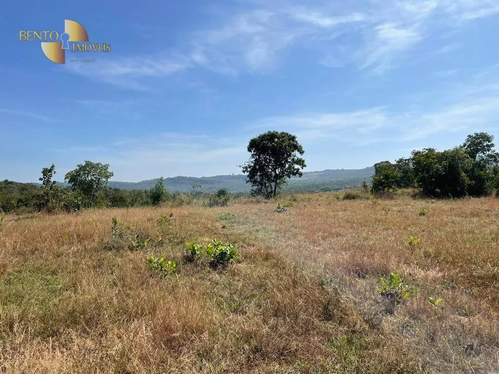Fazenda à venda de 339 ha em Diamantino, MT, Brasil