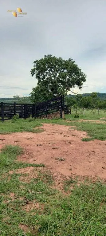 Fazenda à venda de 339 ha em Diamantino, MT, Brasil