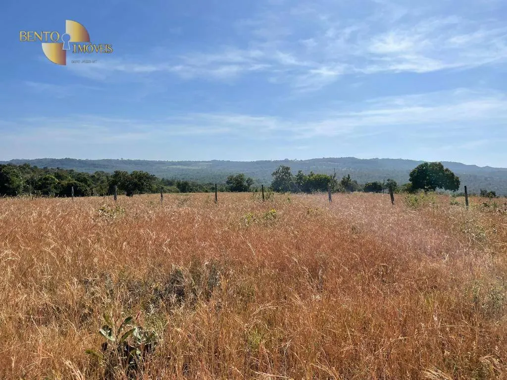 Fazenda à venda de 339 ha em Diamantino, MT, Brasil