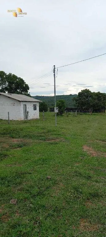 Fazenda à venda de 339 ha em Diamantino, MT, Brasil