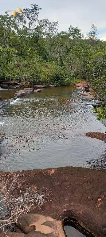 Fazenda à venda de 339 ha em Diamantino, MT, Brasil
