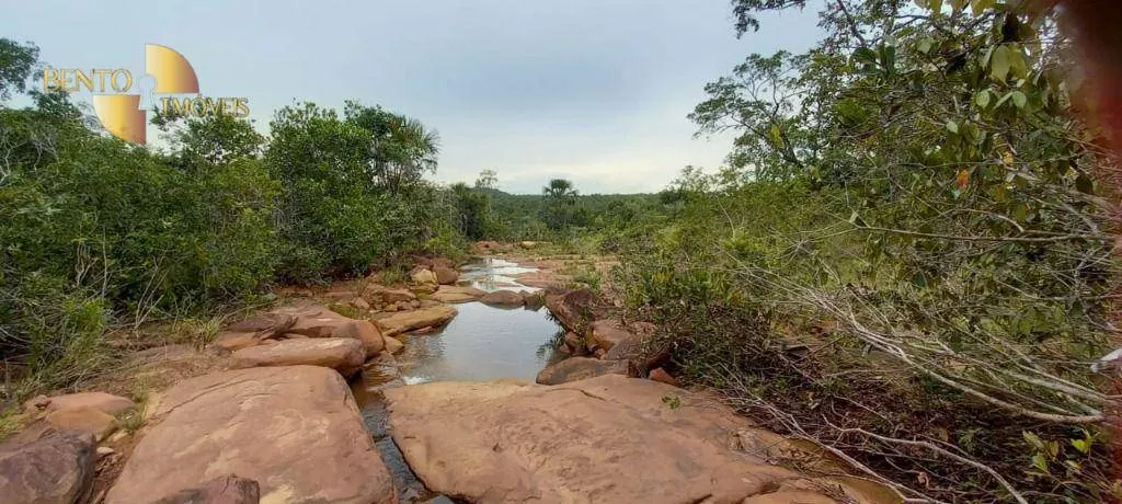 Fazenda à venda de 339 ha em Diamantino, MT, Brasil