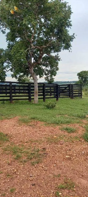 Fazenda à venda de 339 ha em Diamantino, MT, Brasil