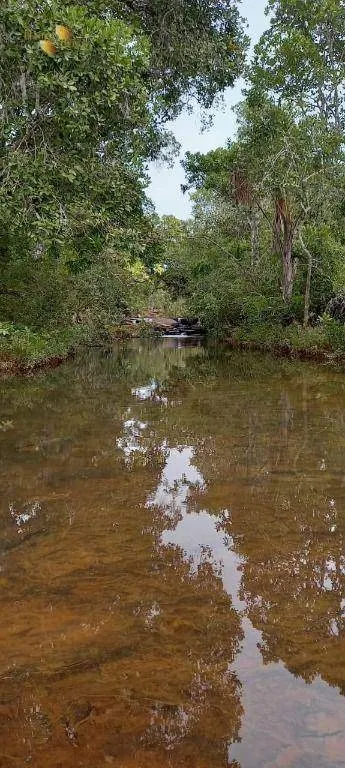 Fazenda à venda de 339 ha em Diamantino, MT, Brasil