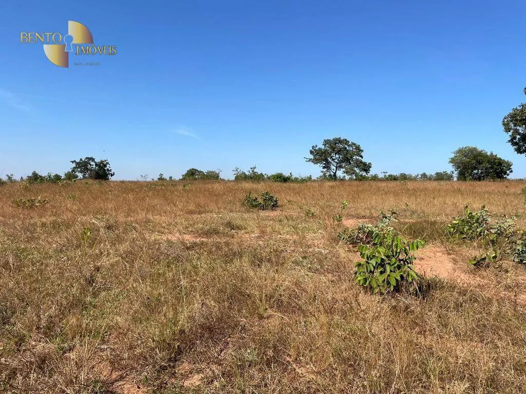 Fazenda à venda de 339 ha em Diamantino, MT, Brasil