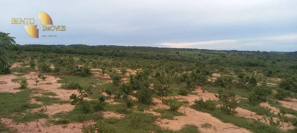 Fazenda à venda de 339 ha em Diamantino, MT, Brasil