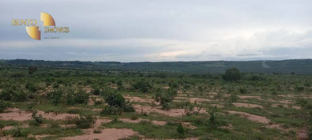 Fazenda à venda de 339 ha em Diamantino, MT, Brasil