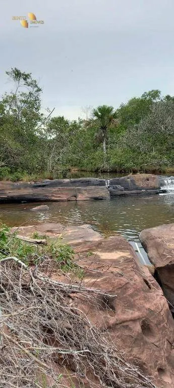 Fazenda à venda de 339 ha em Diamantino, MT, Brasil