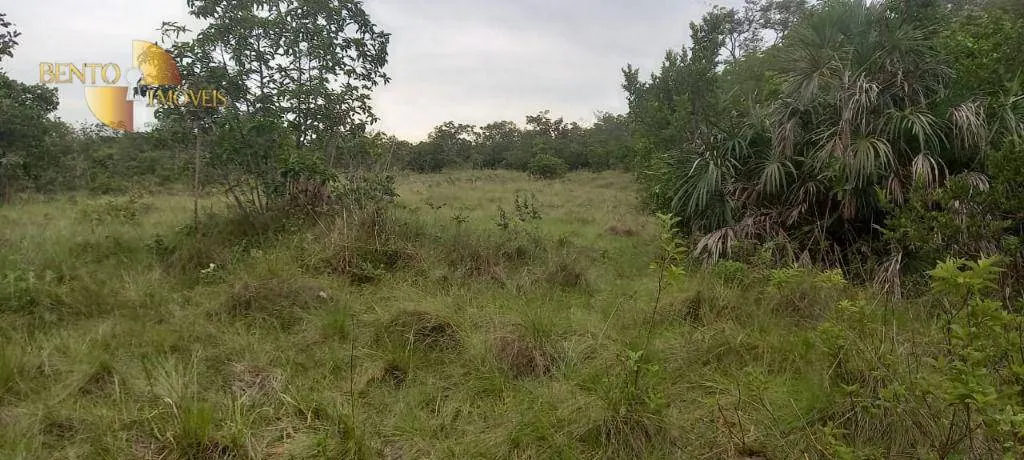Fazenda à venda de 339 ha em Diamantino, MT, Brasil