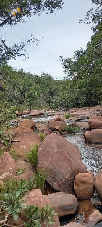Fazenda à venda de 339 ha em Diamantino, MT, Brasil