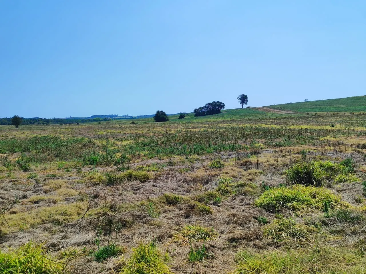 Fazenda à venda de 99 ha em Itapetininga, SP, Brasil