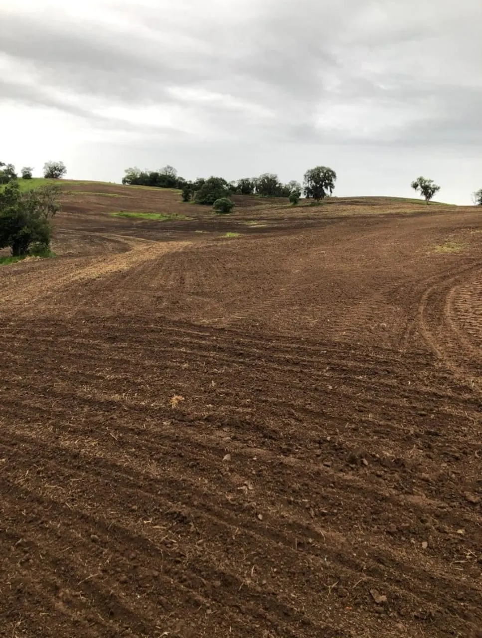 Fazenda à venda de 99 ha em Itapetininga, SP, Brasil