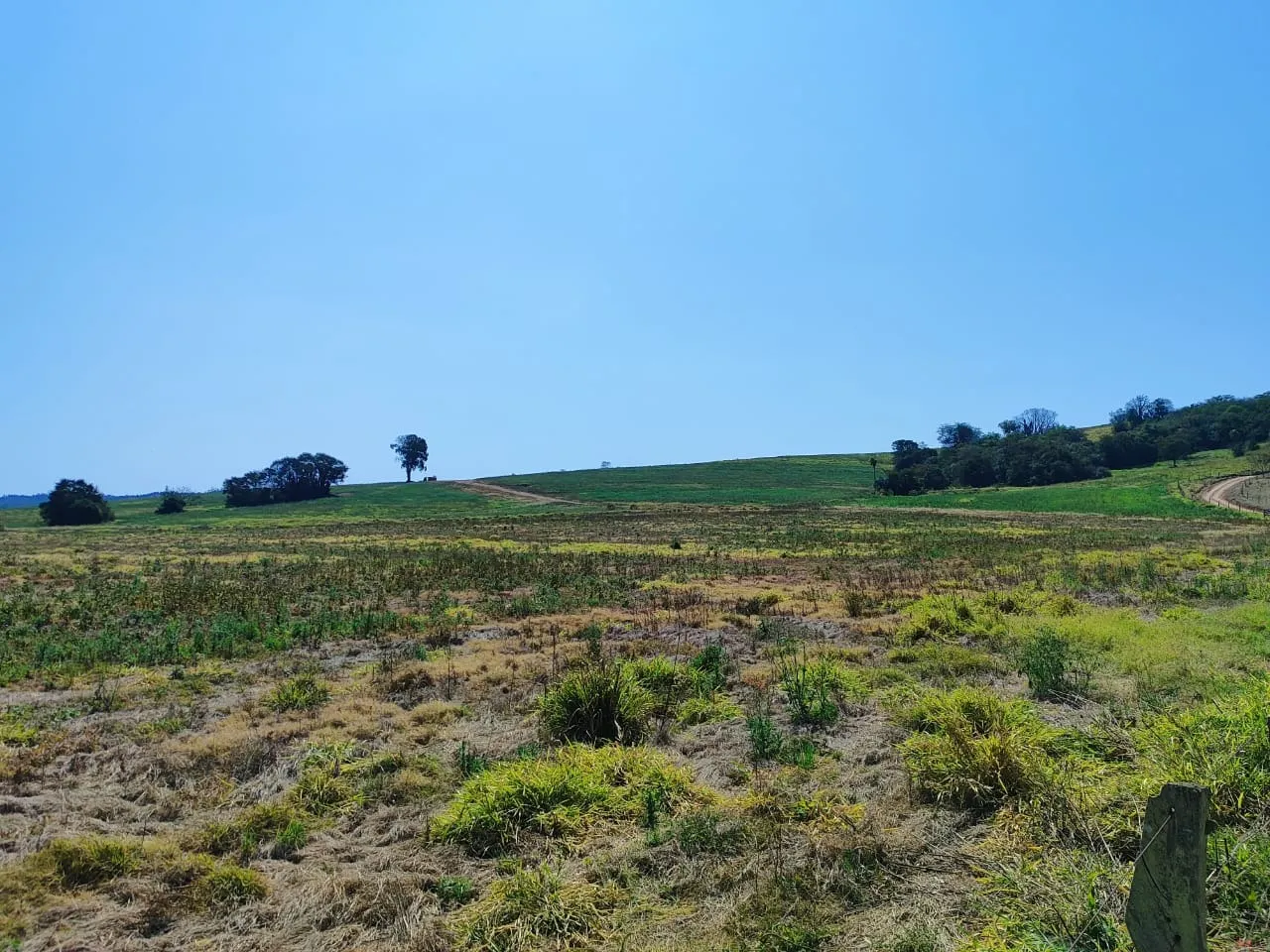 Fazenda à venda de 99 ha em Itapetininga, SP, Brasil