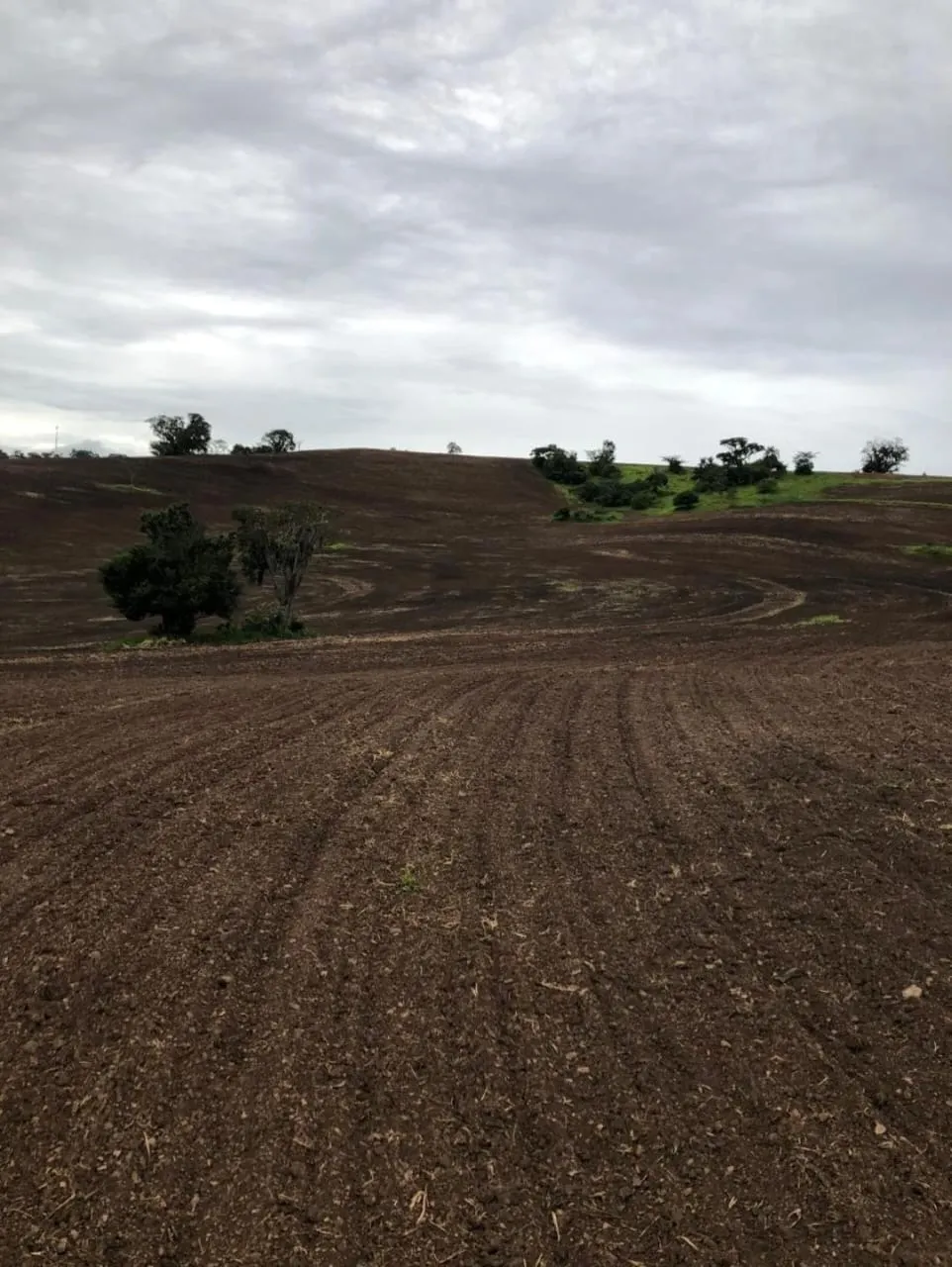 Fazenda à venda de 99 ha em Itapetininga, SP, Brasil