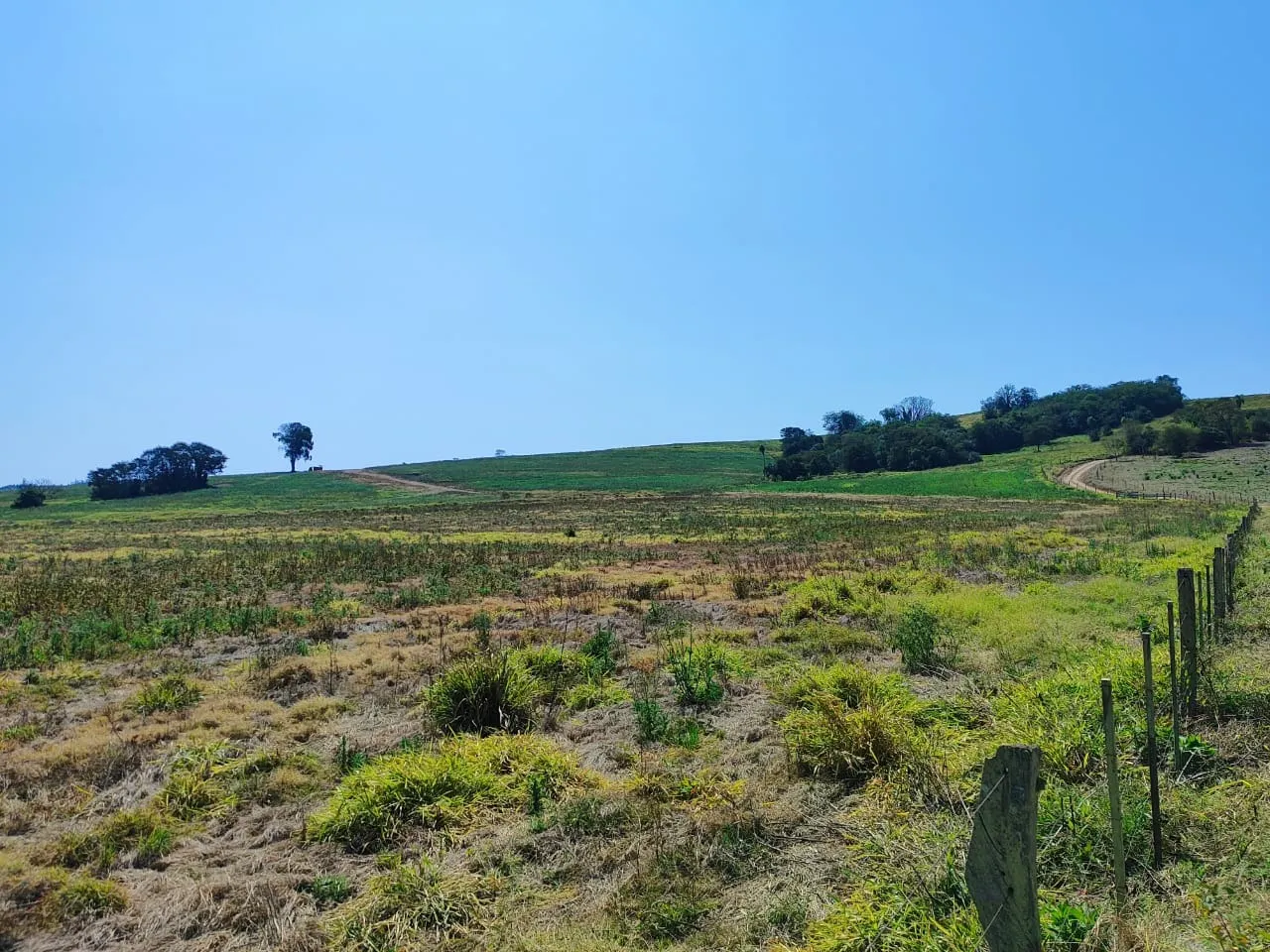 Fazenda à venda de 99 ha em Itapetininga, SP, Brasil