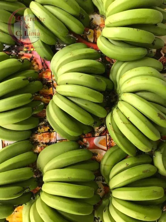 Chácara à venda de 4.000 m² em Sapucaí-Mirim, MG, Brasil