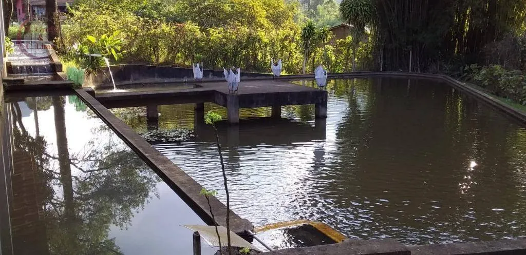 Chácara à venda de 4.000 m² em Sapucaí-Mirim, MG, Brasil