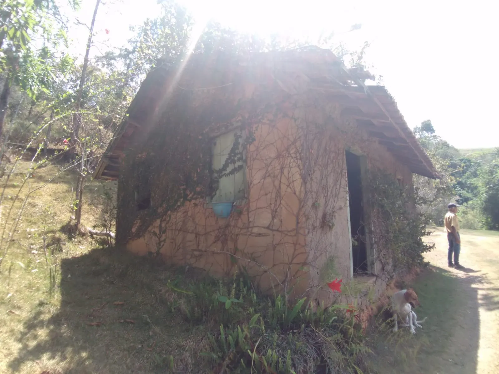Small farm for sale of 30 acres in São Luiz do Paraitinga, SP, Brazil