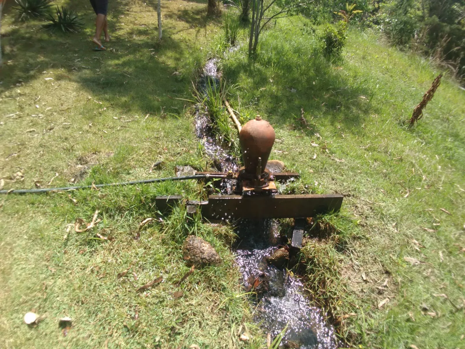 Small farm for sale of 30 acres in São Luiz do Paraitinga, SP, Brazil