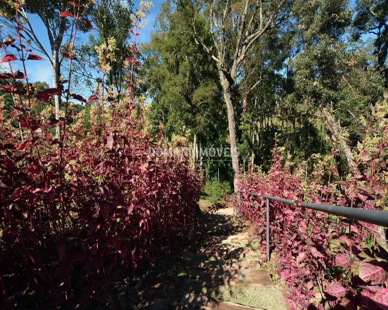 Terreno à venda de 1.040 m² em Campos do Jordão, SP, Brasil