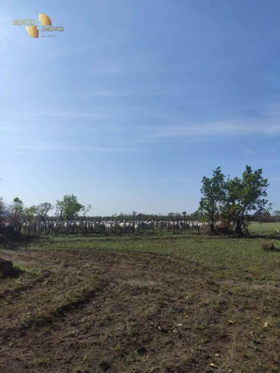 Farm for sale of 19,768 acres in Luciara, MT, Brazil