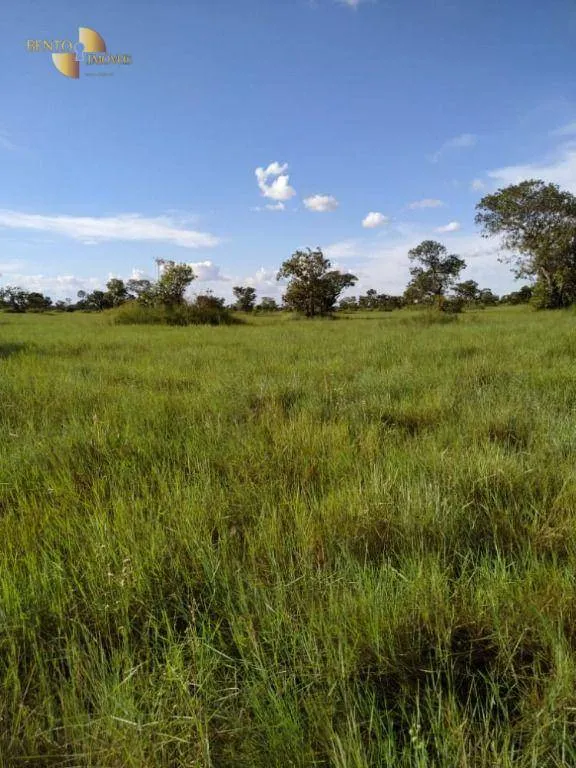 Farm for sale of 19,768 acres in Luciara, MT, Brazil