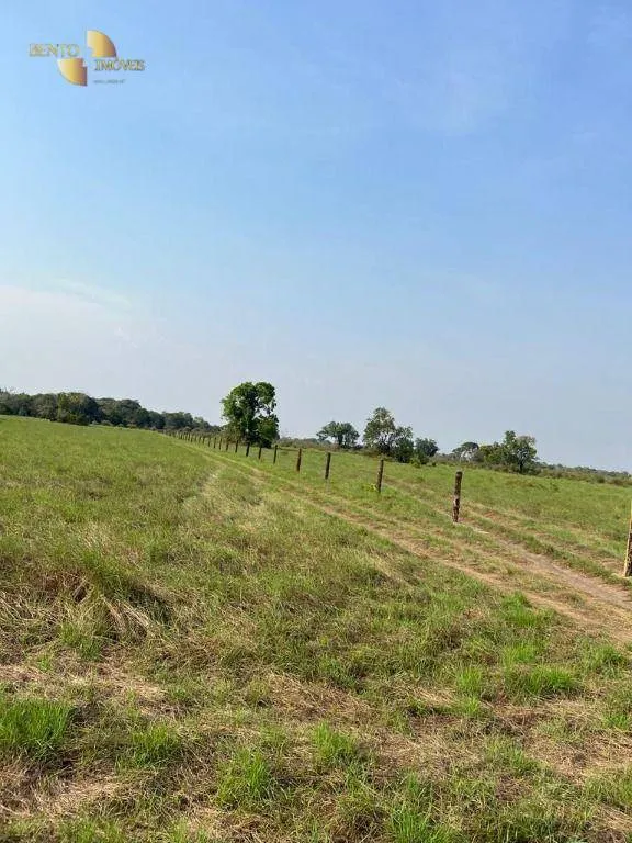 Farm for sale of 19,768 acres in Luciara, MT, Brazil