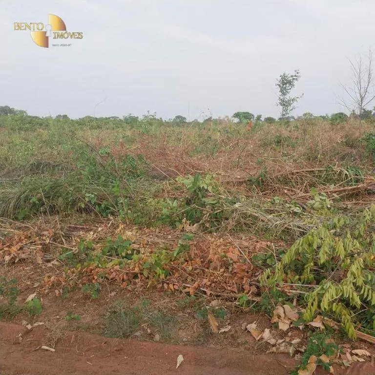 Farm for sale of 19,768 acres in Luciara, MT, Brazil