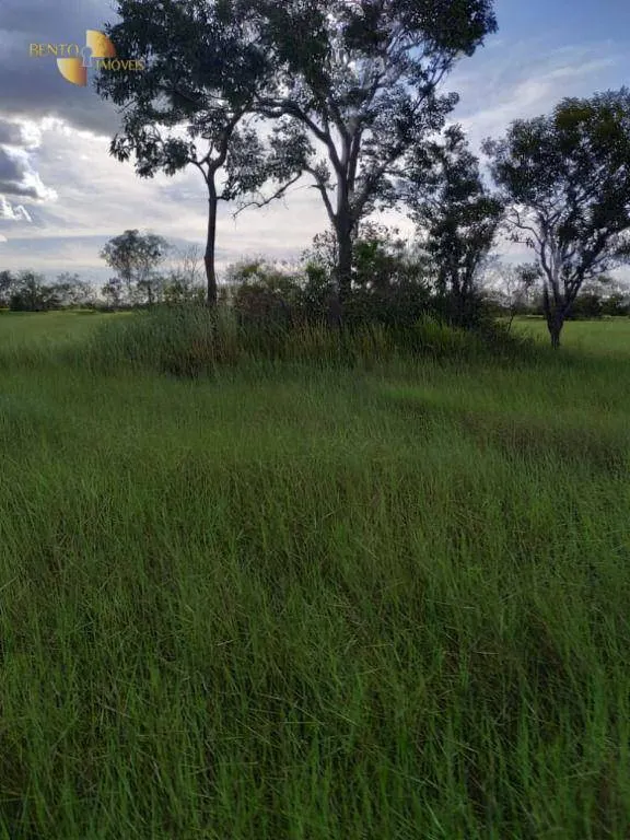 Farm for sale of 19,768 acres in Luciara, MT, Brazil